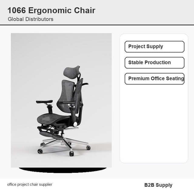 HW-1066 premium dual back ergonomic office chair