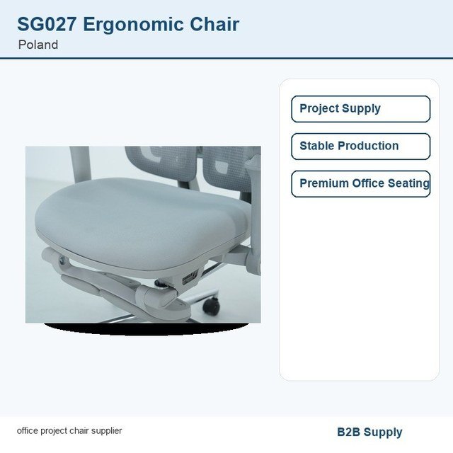 SG027 ergonomic office chair