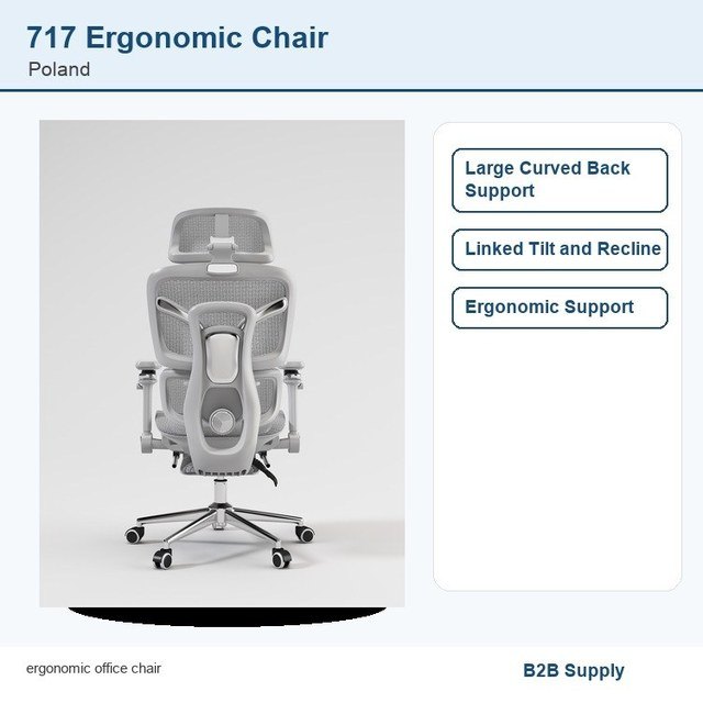 717 ergonomic office chair