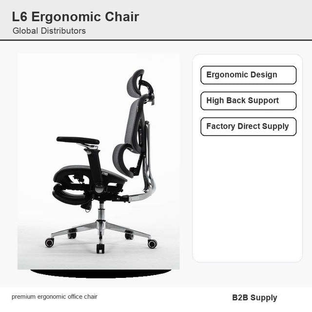 Ares-L6 ergonomic office chair with footrest
