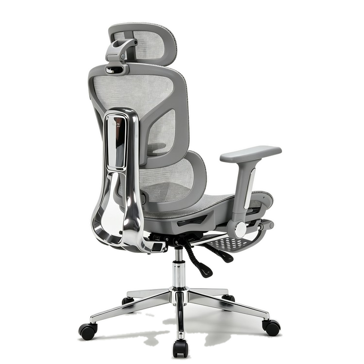 阿瑞斯-L5 Pro ergonomic office chair wholesale