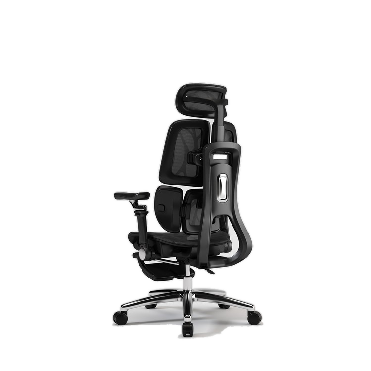 风行者 ergonomic office chair wholesale