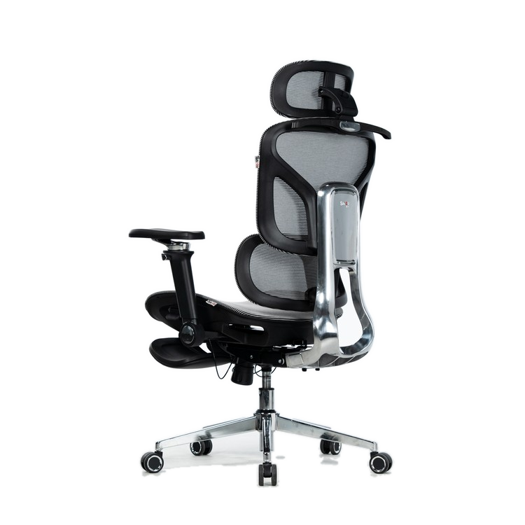 阿瑞斯-L6 ergonomic office chair wholesale